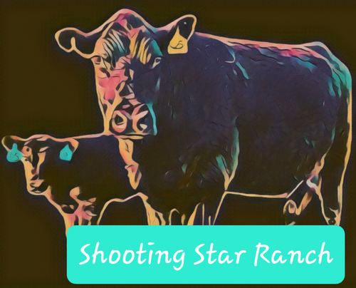 ShootingStarRanch logo