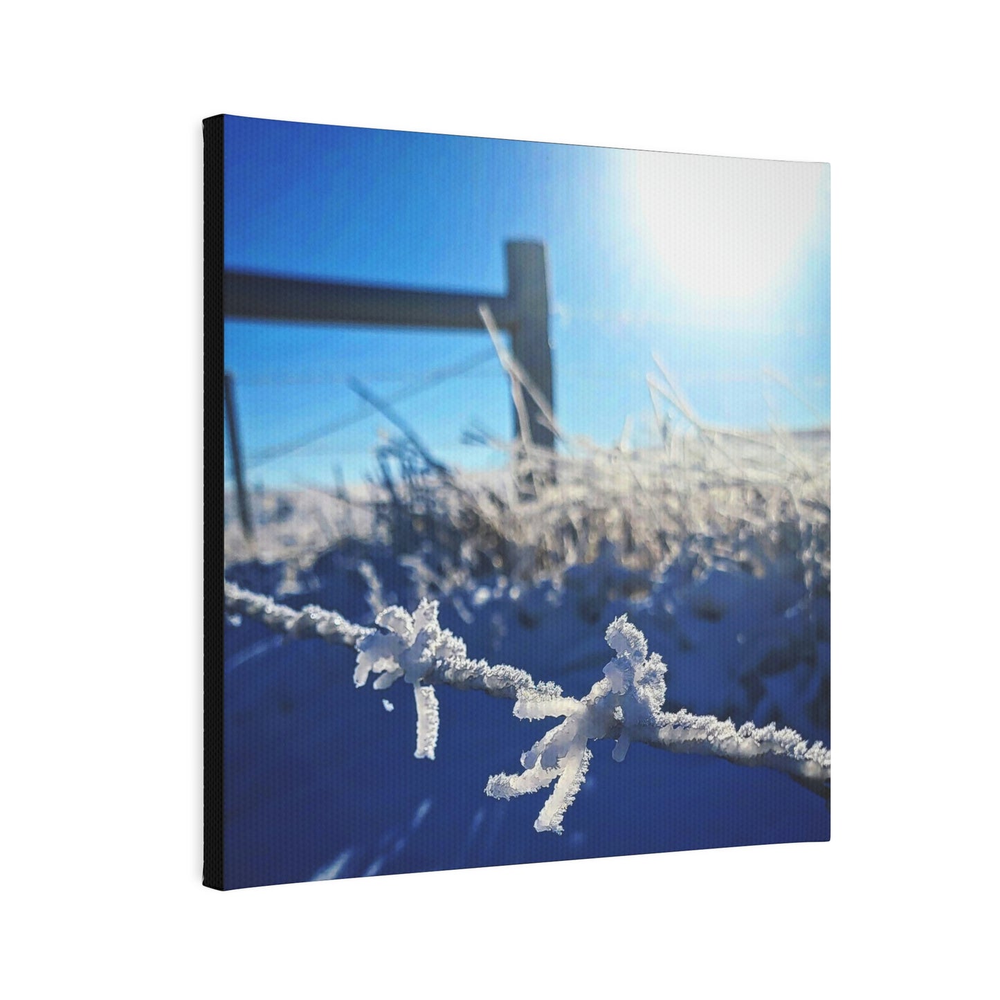 Frosty Barbed-wire Canvas Photo Tile