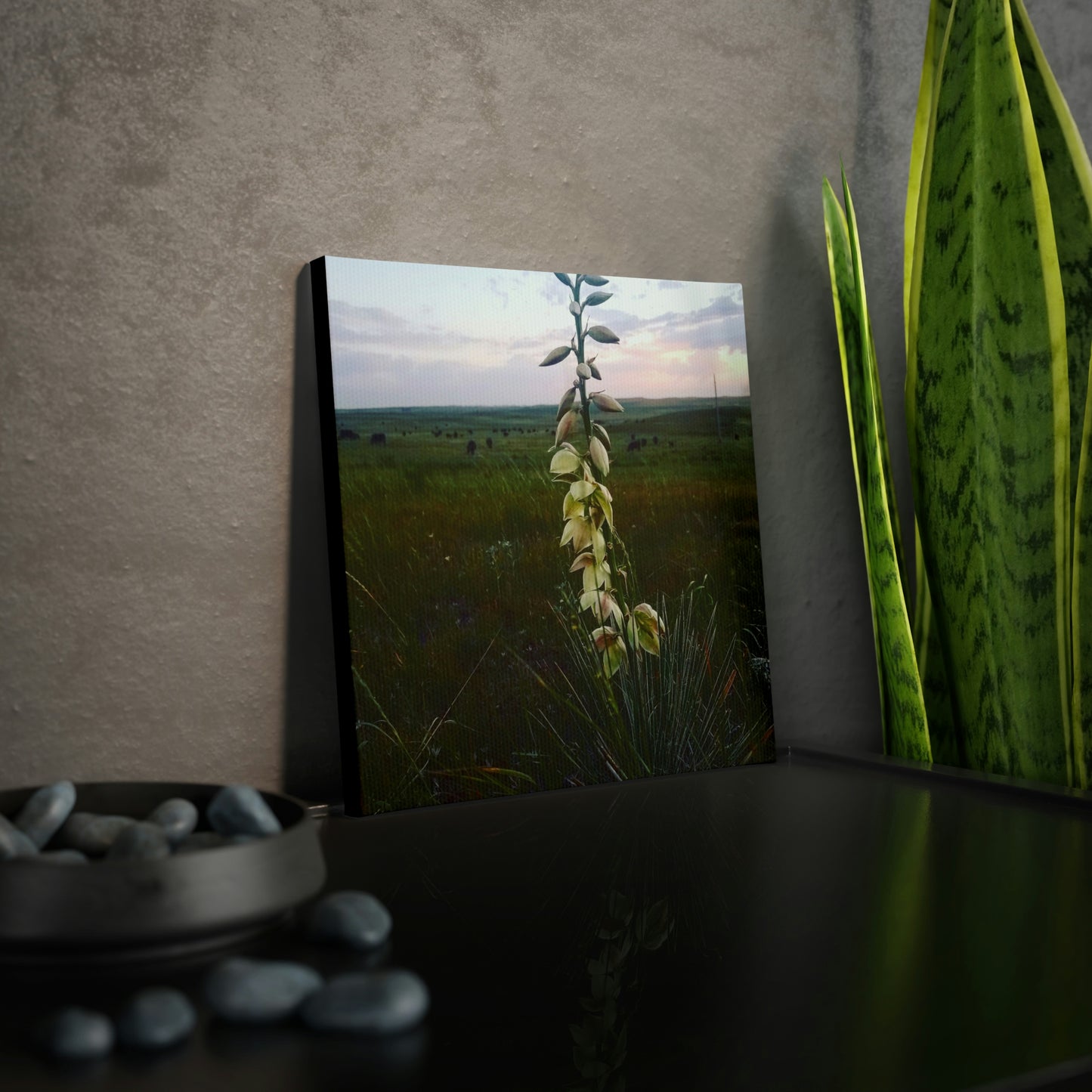 Yucca Cow Canvas Photo Tile