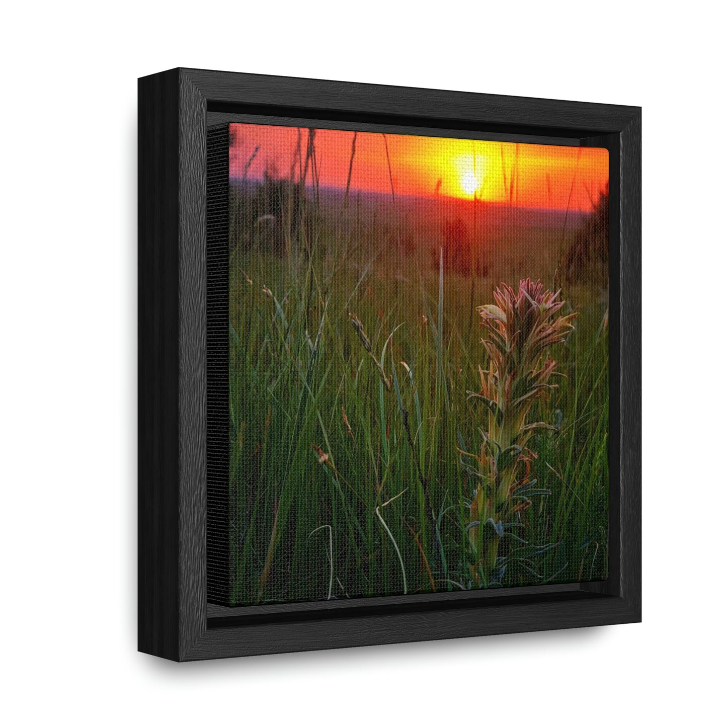 Honeysuckle Gallery Canvas Wraps, Square Frame