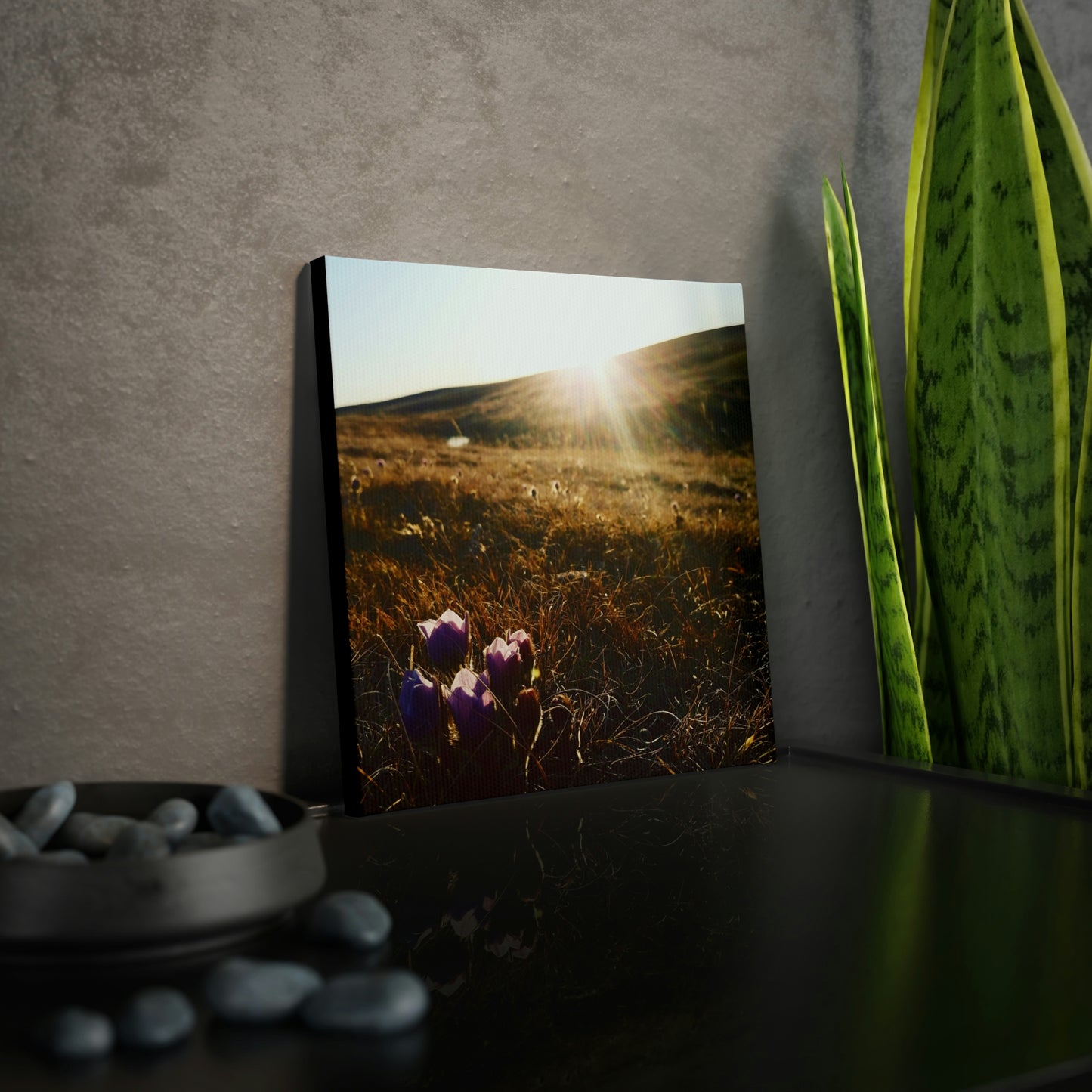 Crocuses Canvas Photo Tile