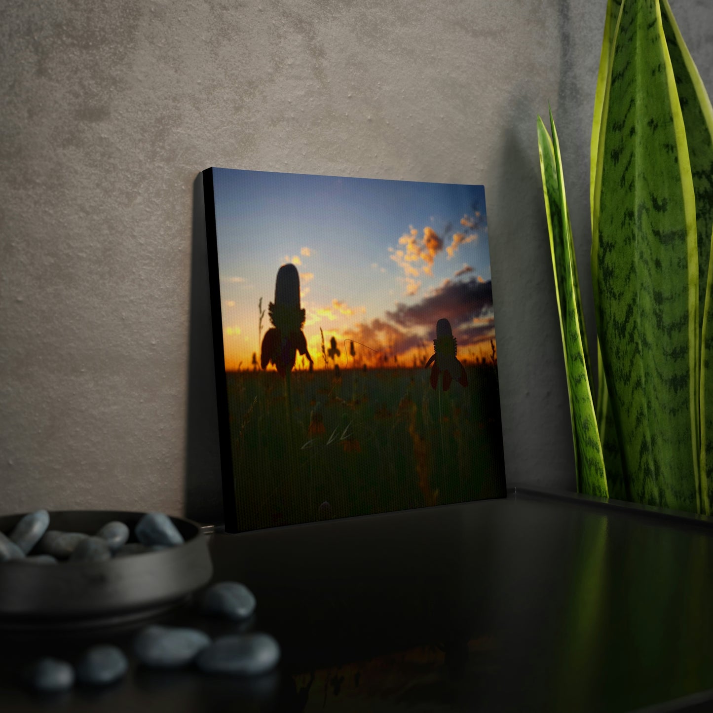 Coneflower Sunset Canvas Photo Tile
