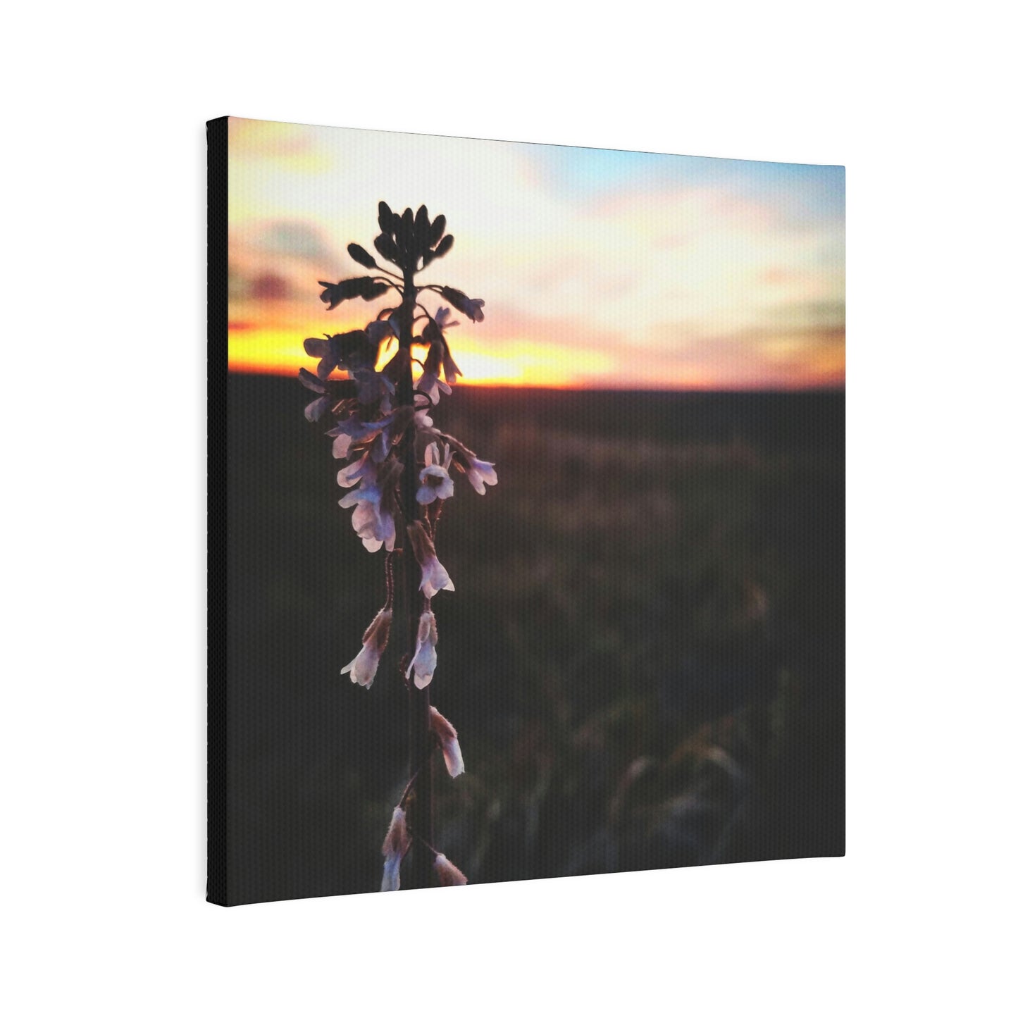 Penstemon Canvas Photo Tile