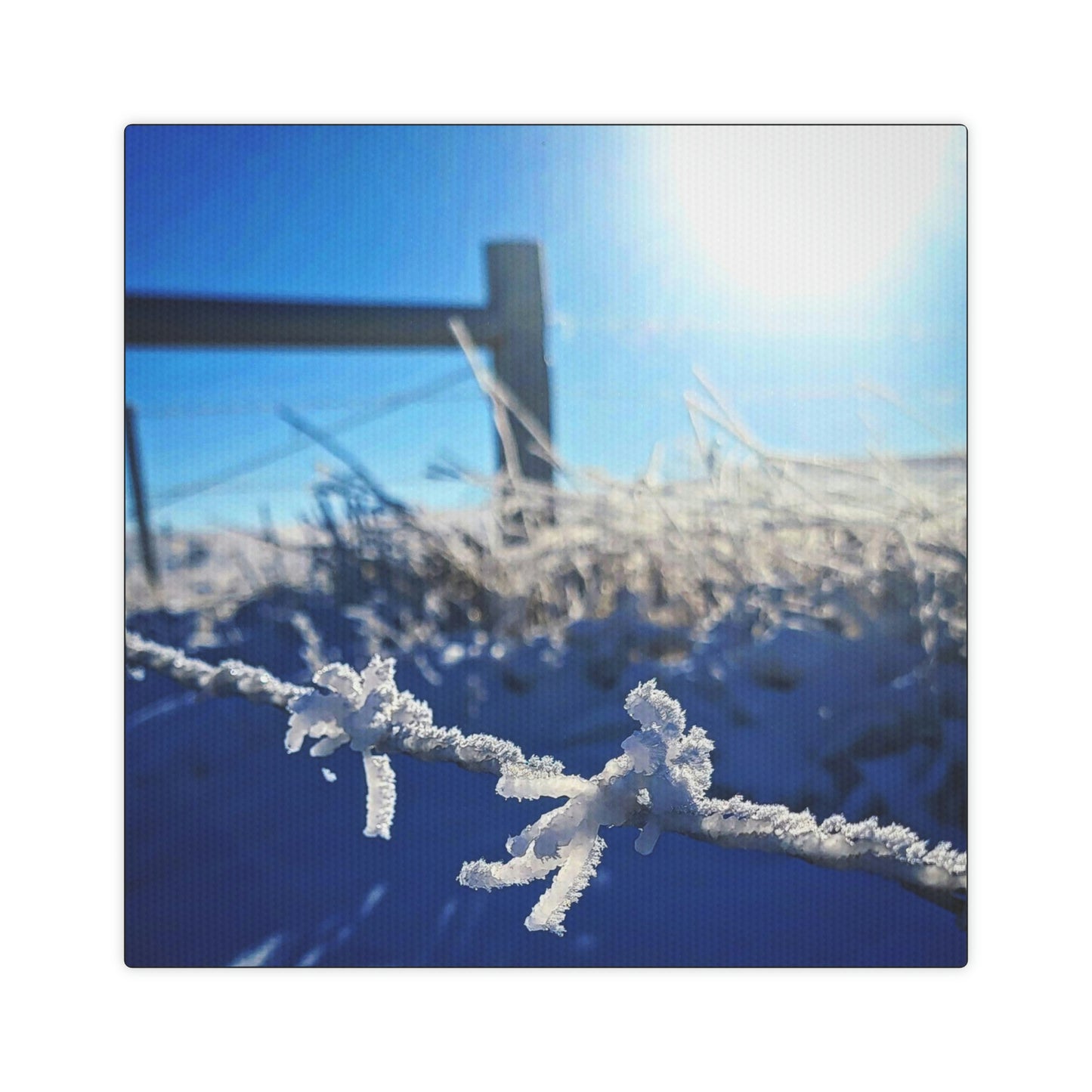 Frosty Barbed-wire Canvas Photo Tile