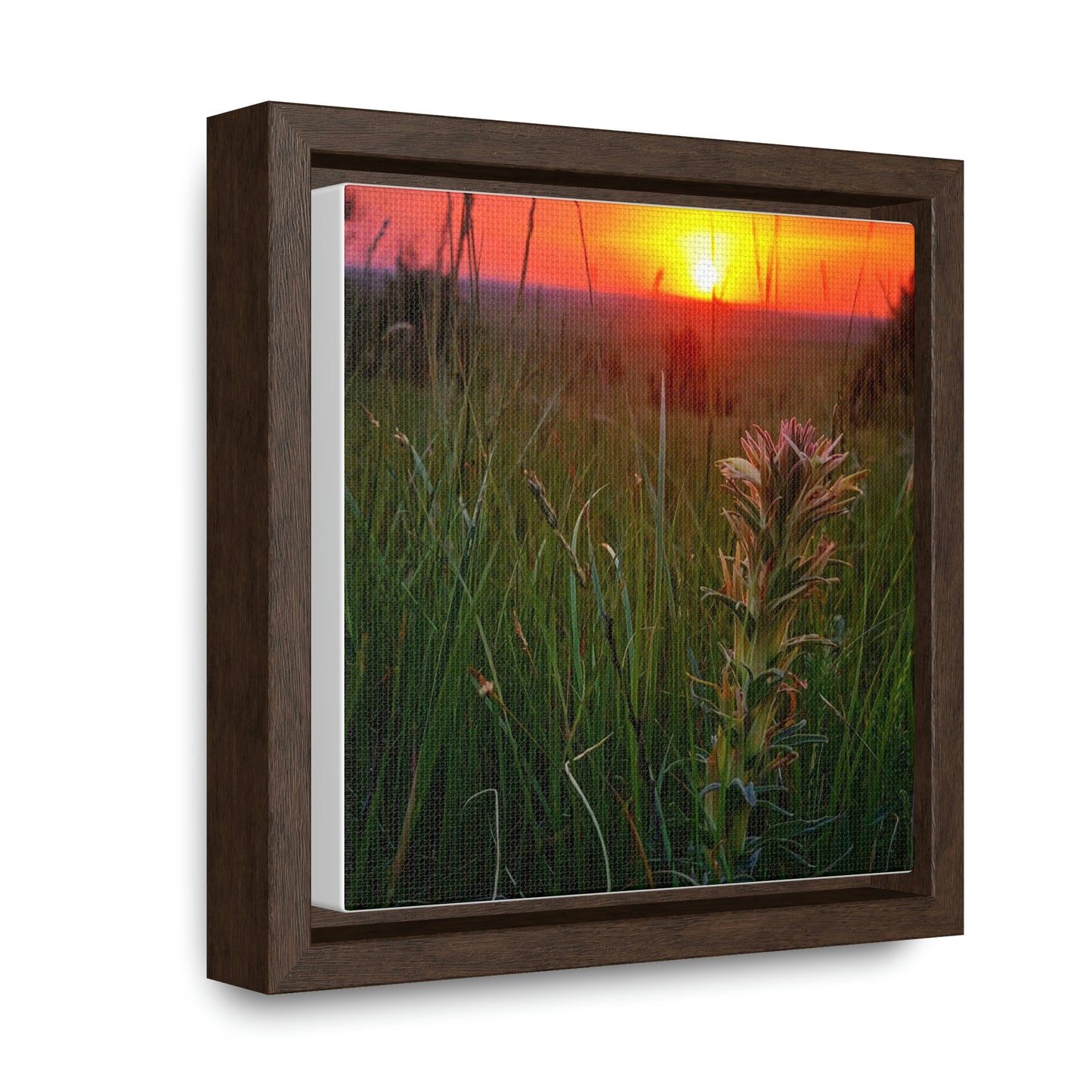Honeysuckle Gallery Canvas Wraps, Square Frame