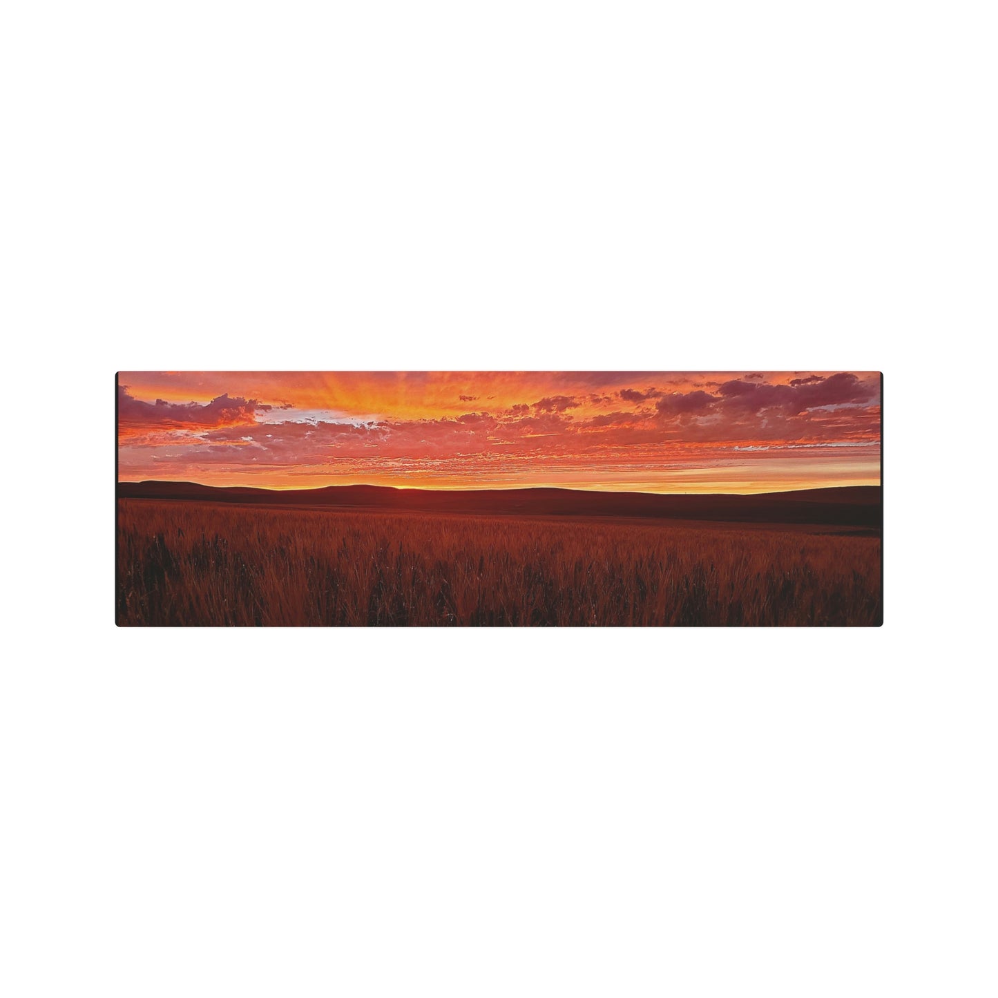 Wheat Field Sunset Metal Art Sign