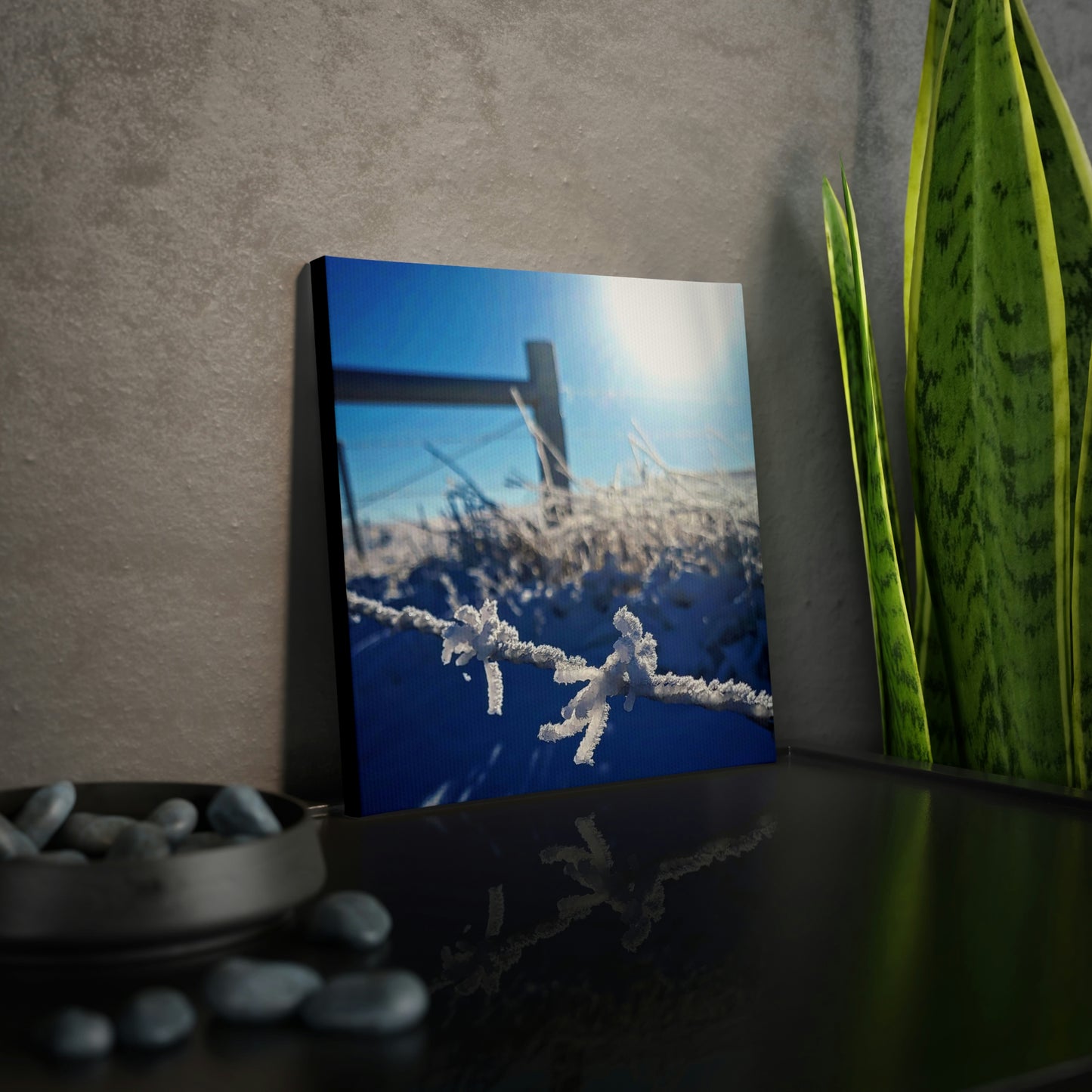 Frosty Barbed-wire Canvas Photo Tile