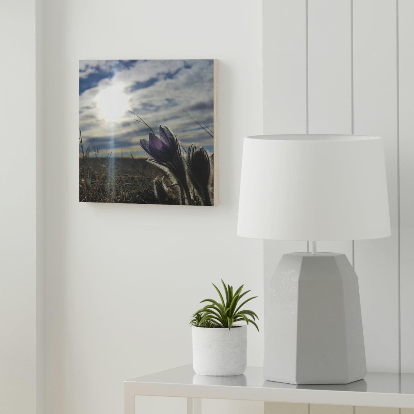 Prairie Crocus Wood Canvas