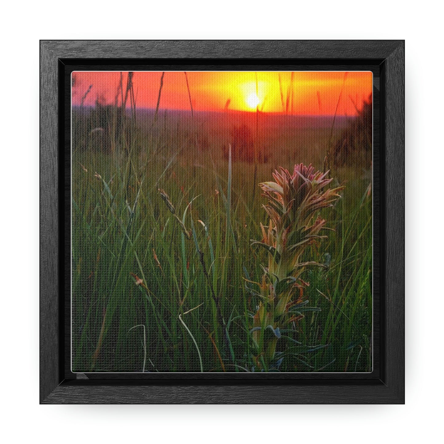 Honeysuckle Gallery Canvas Wraps, Square Frame