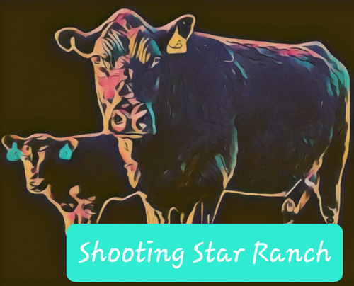 ShootingStarRanch 