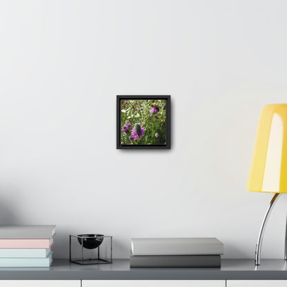 Purple Prairieclover - Gallery Canvas Wraps, Square Frame