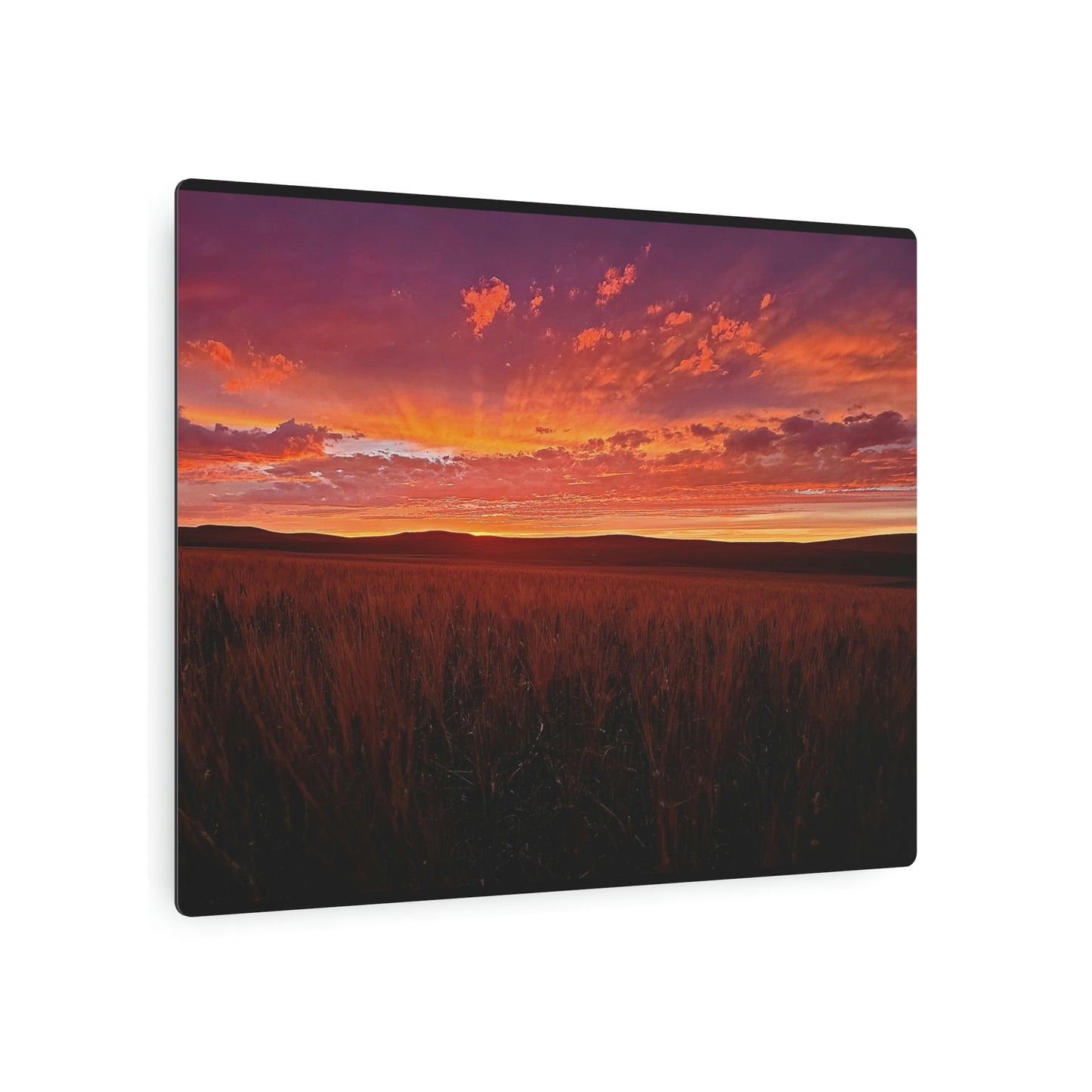 Wheat Field Sunset Metal Art Sign