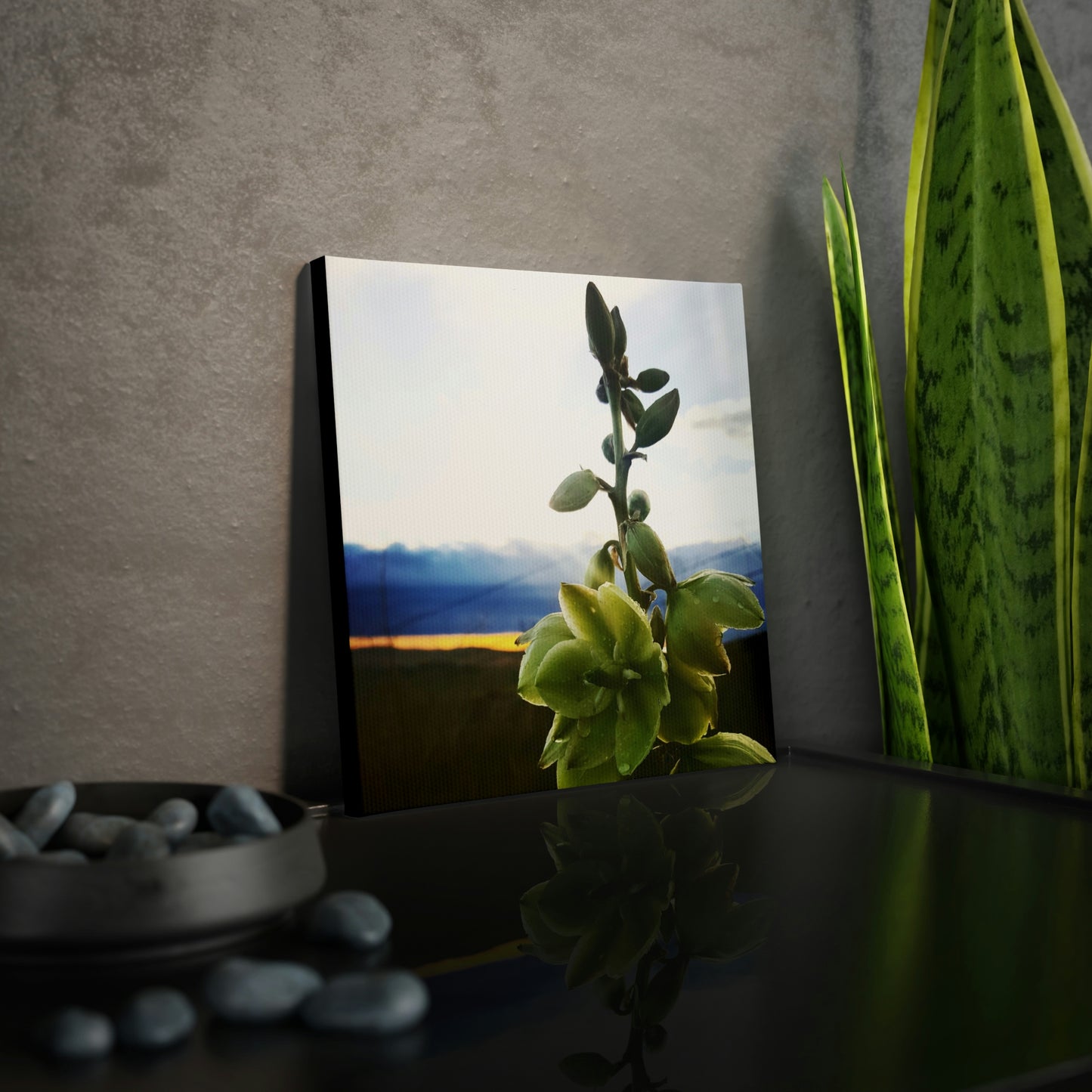 Yucca Canvas Photo Tile