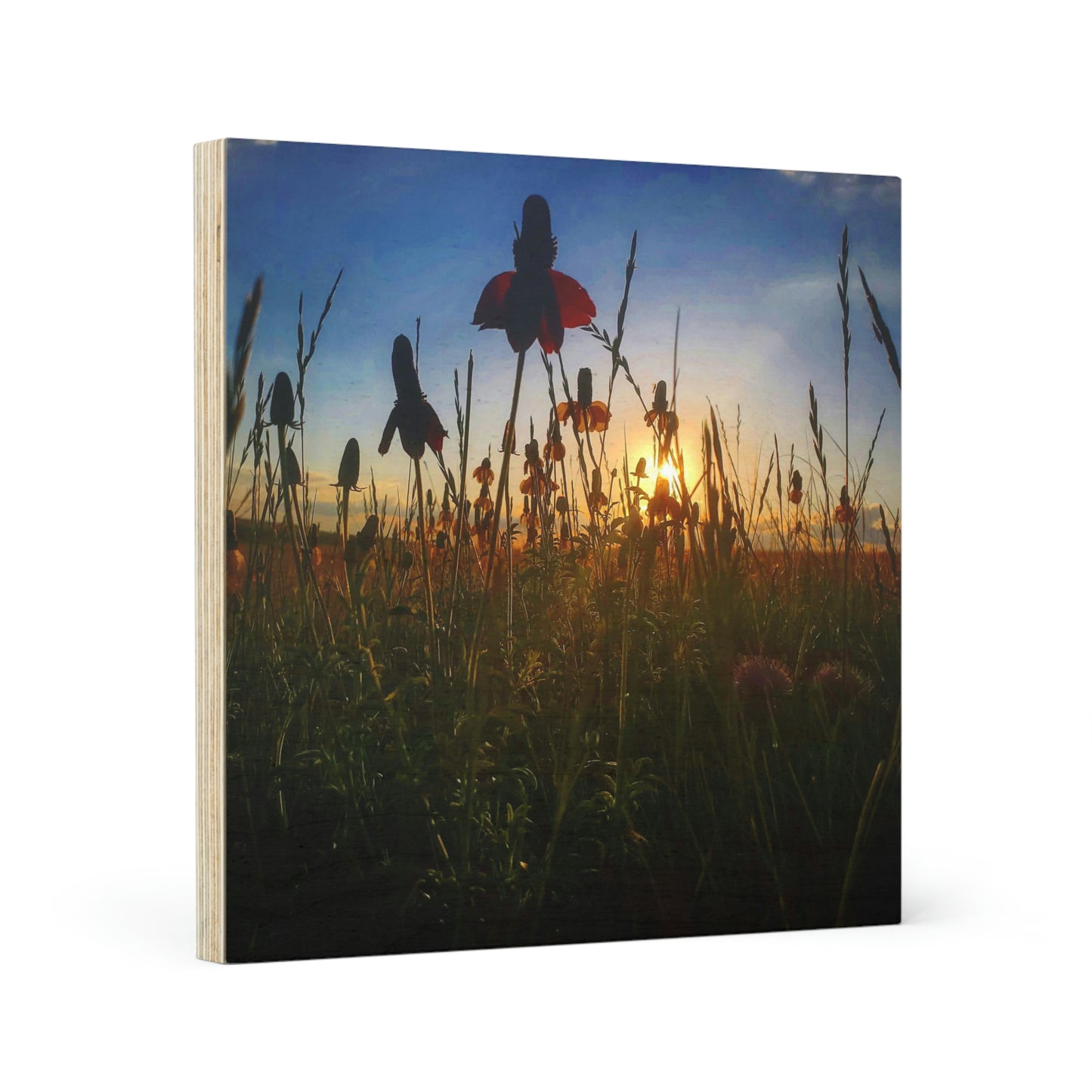 Wildflower Wood Canvas