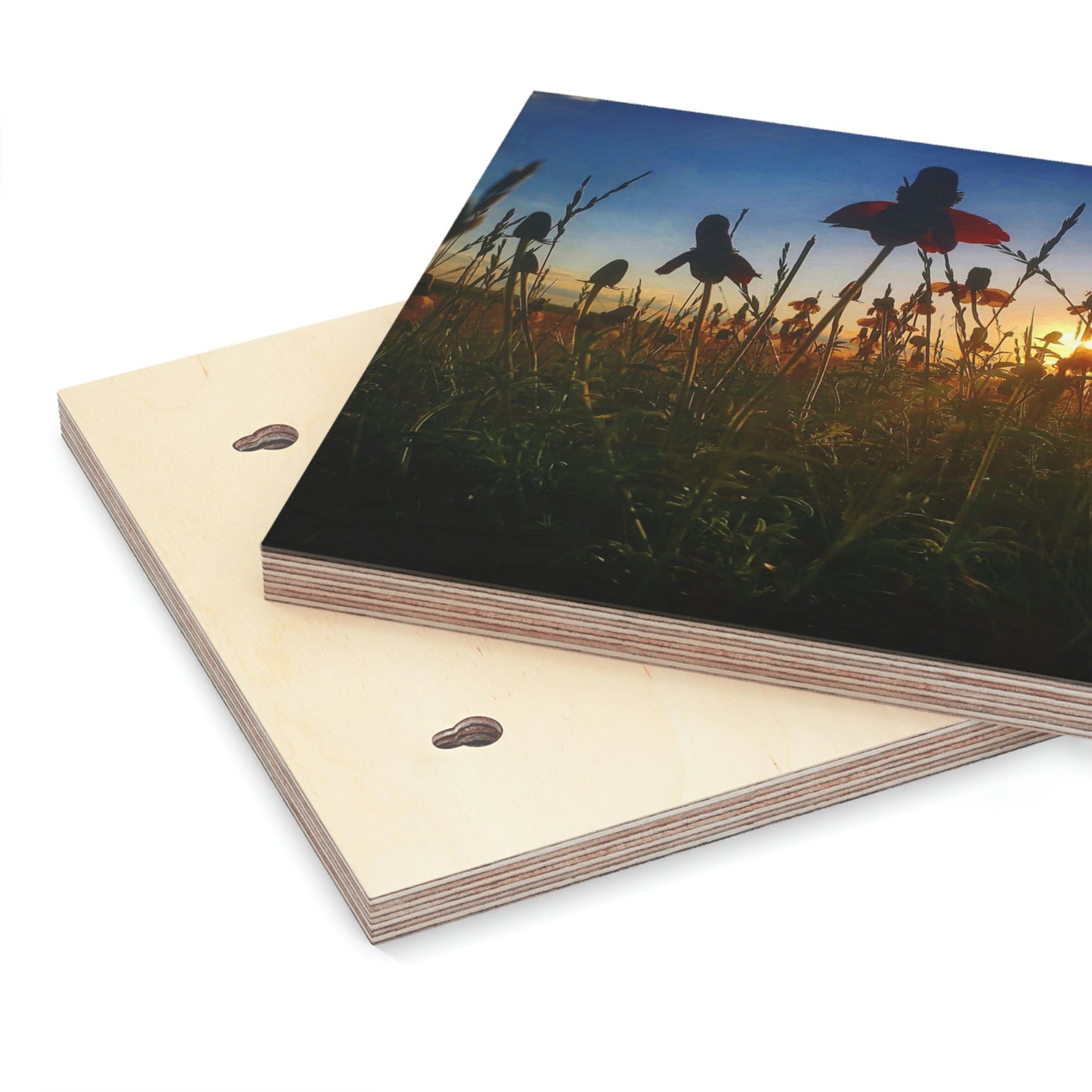 Wildflower Wood Canvas