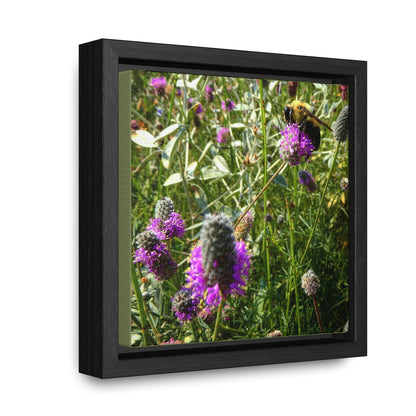 Purple Prairieclover - Gallery Canvas Wraps, Square Frame