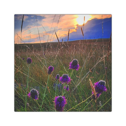 Purple Prairie Clover Canvas Photo Tile