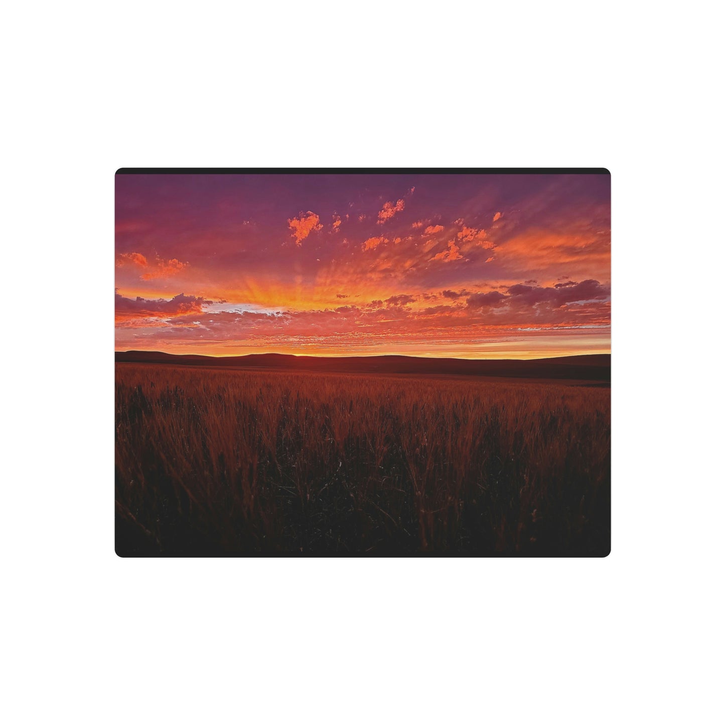 Wheat Field Sunset Metal Art Sign