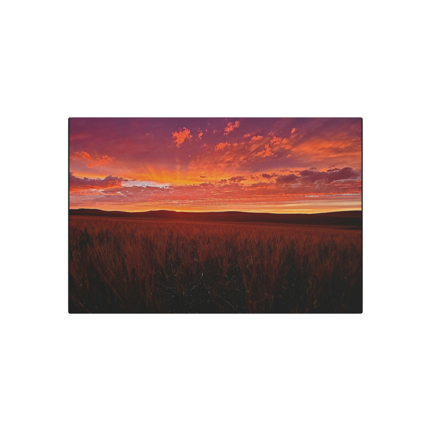 Wheat Field Sunset Metal Art Sign