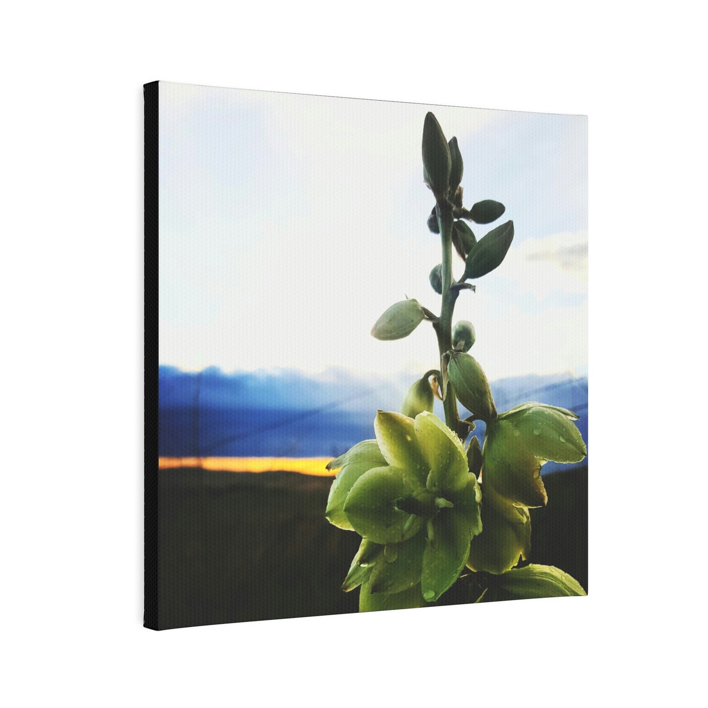 Yucca Canvas Photo Tile