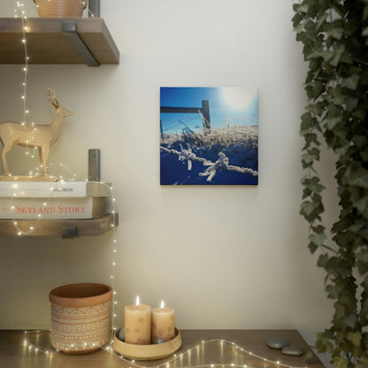 Frosty Barbed-wire Canvas Photo Tile