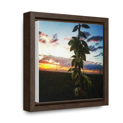 Yucca - Gallery Canvas Wraps, Square Frame