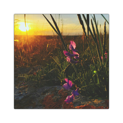 Prairie Sunset Canvas Photo Tile