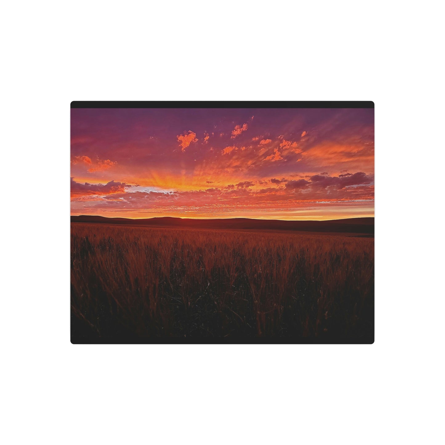 Wheat Field Sunset Metal Art Sign