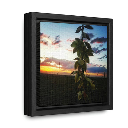 Yucca - Gallery Canvas Wraps, Square Frame