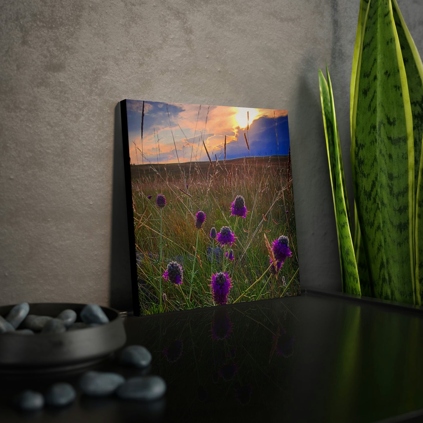 Purple Prairie Clover Canvas Photo Tile