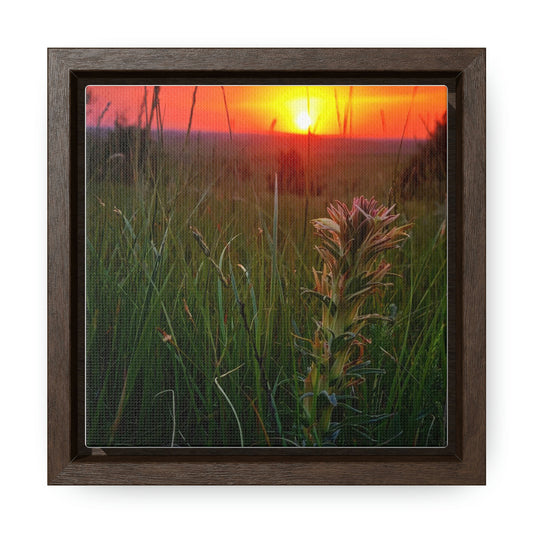 Honeysuckle Gallery Canvas Wraps, Square Frame