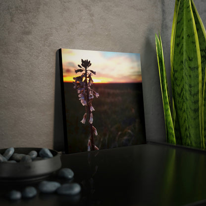 Penstemon Canvas Photo Tile