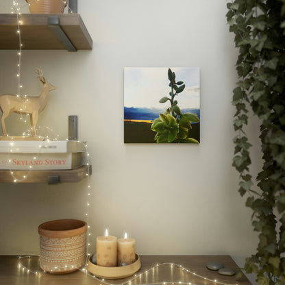 Yucca Canvas Photo Tile