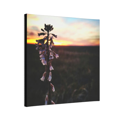 Penstemon Canvas Photo Tile