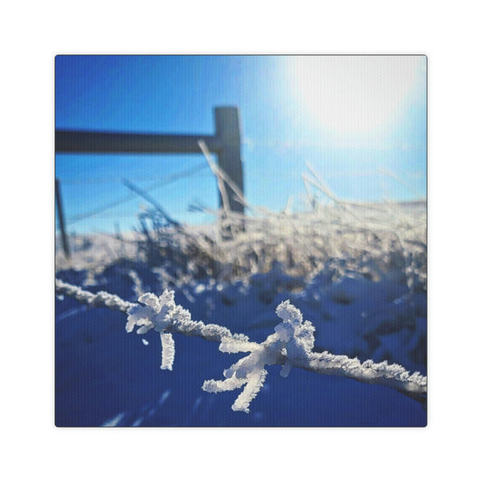 Frosty Barbed-wire Canvas Photo Tile
