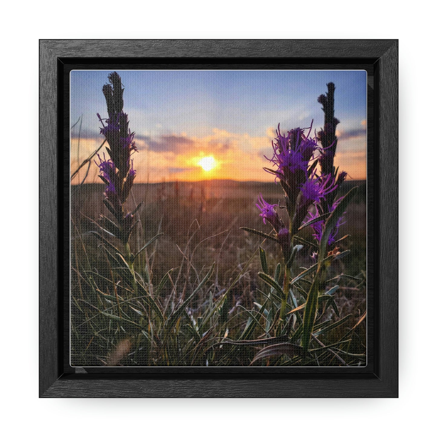 Prairie Flowers - Gallery Canvas Wraps, Square Frame