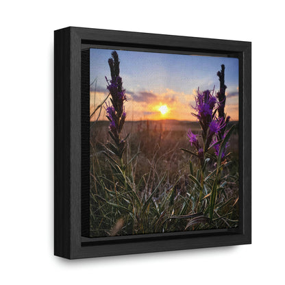 Prairie Flowers - Gallery Canvas Wraps, Square Frame