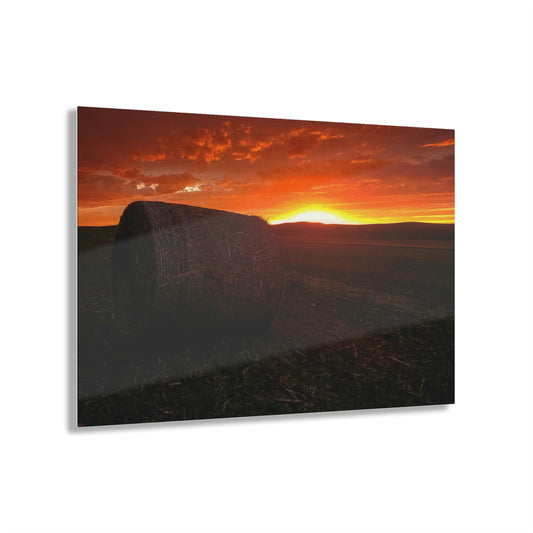 Haying Season 2 Acrylic Prints