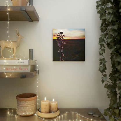 Penstemon Canvas Photo Tile