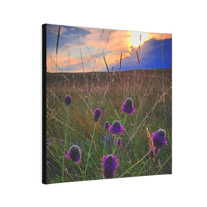 Purple Prairie Clover Canvas Photo Tile