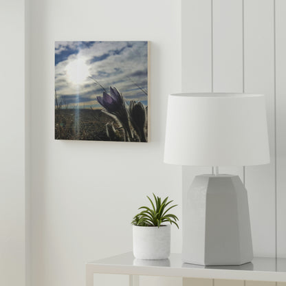 Prairie Crocus Wood Canvas