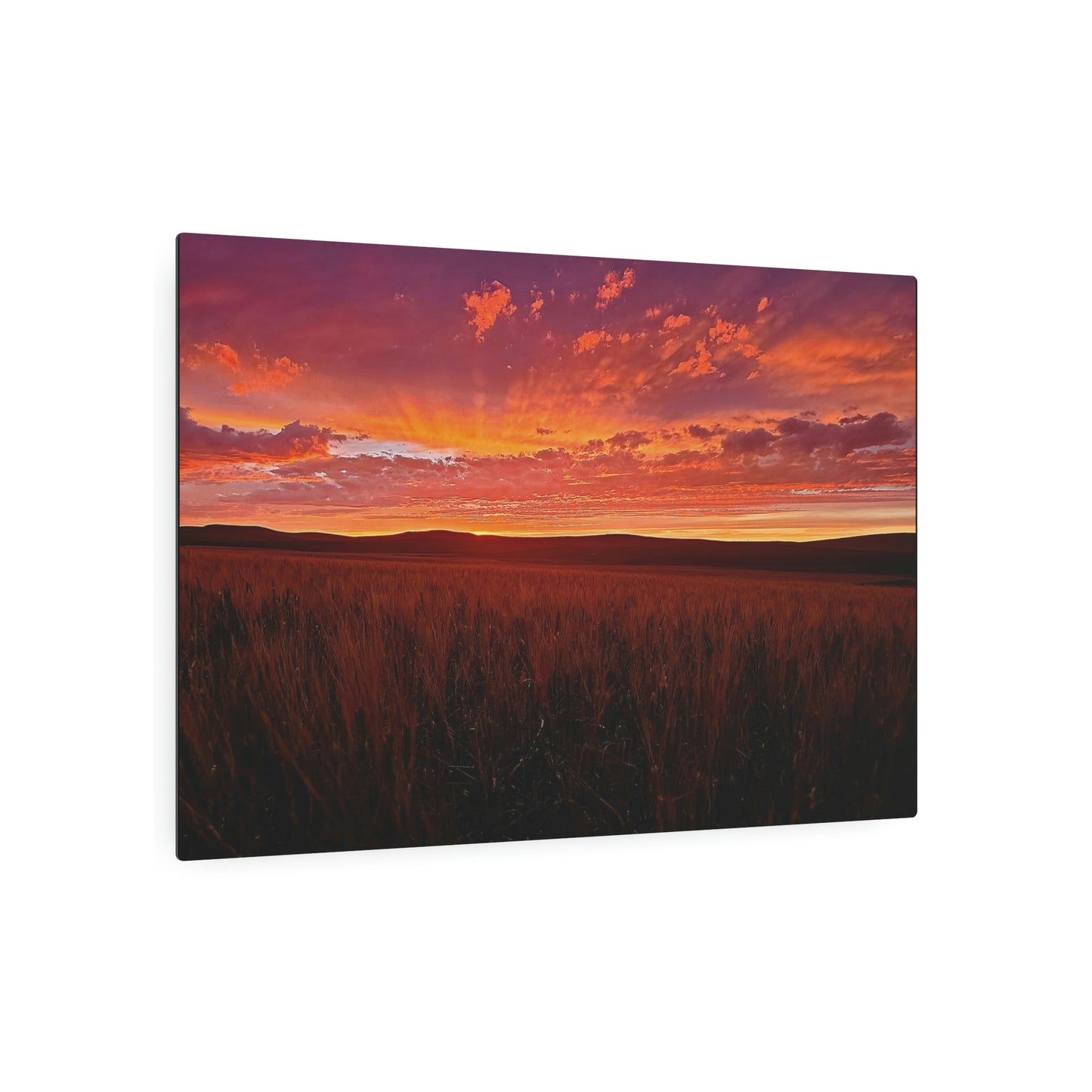 Wheat Field Sunset Metal Art Sign