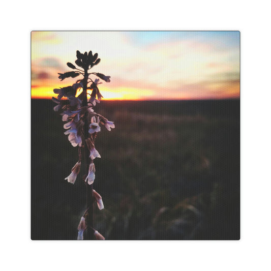 Penstemon Canvas Photo Tile