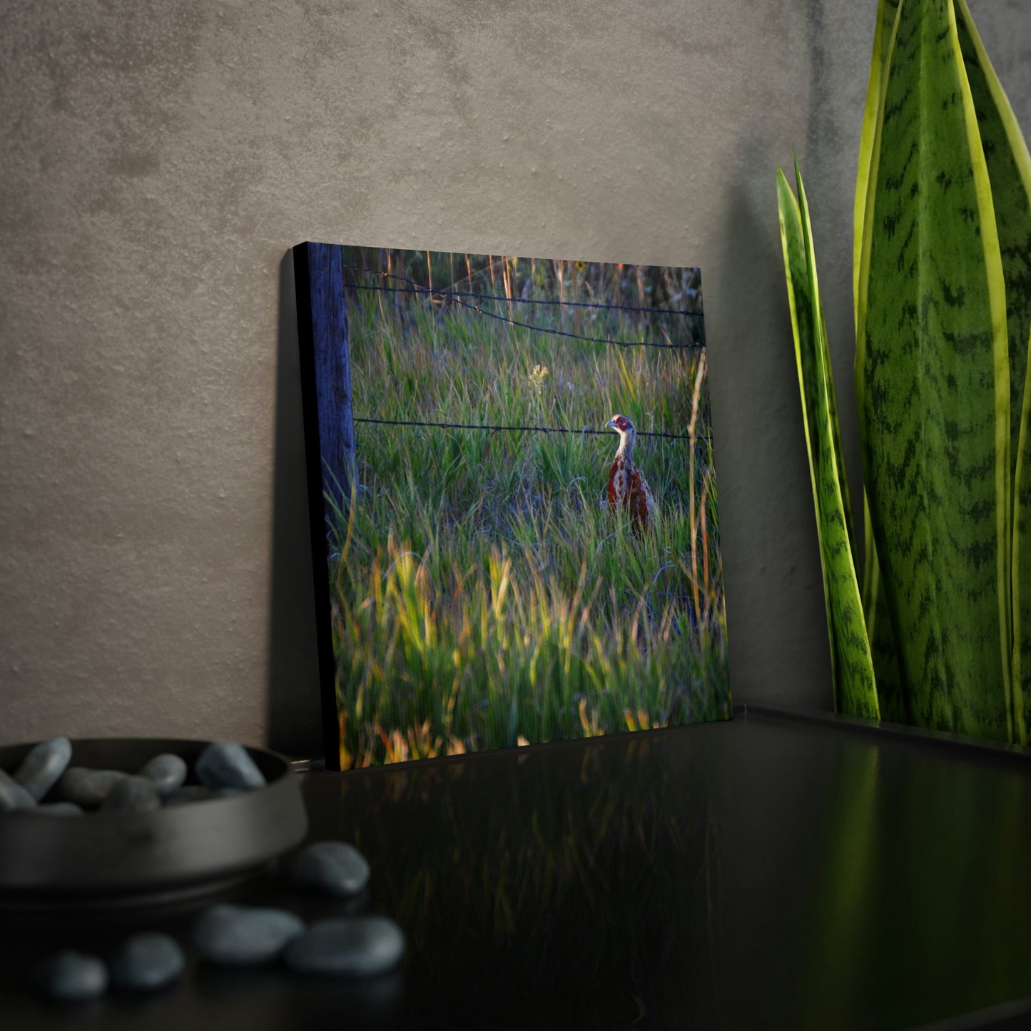 Young Rooster Canvas Photo Tile