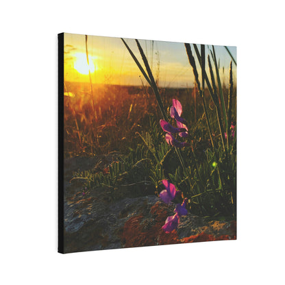 Prairie Sunset Canvas Photo Tile